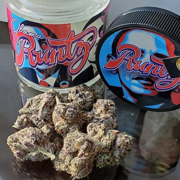 Obama Runtz | Obama Runtz strain