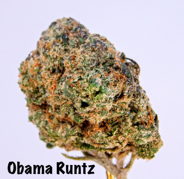 Obama Runtz strain | Obama Runtz For Sale